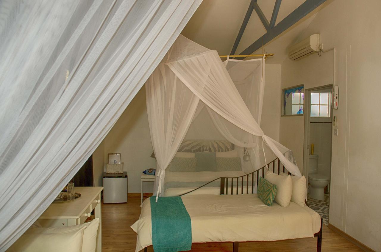 Bed and Breakfast The Old House Kasane Exteriér fotografie
